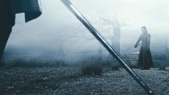 以剑为证,以剑为证，谱写传奇人生