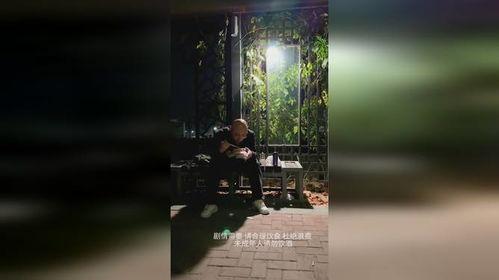 我笑风轻雪如棉,踏雪寻棉——探寻生活中的诗意与温暖