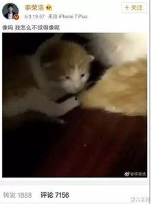 娱乐吃瓜酱小动物视频,小动物娱乐视频大盘点